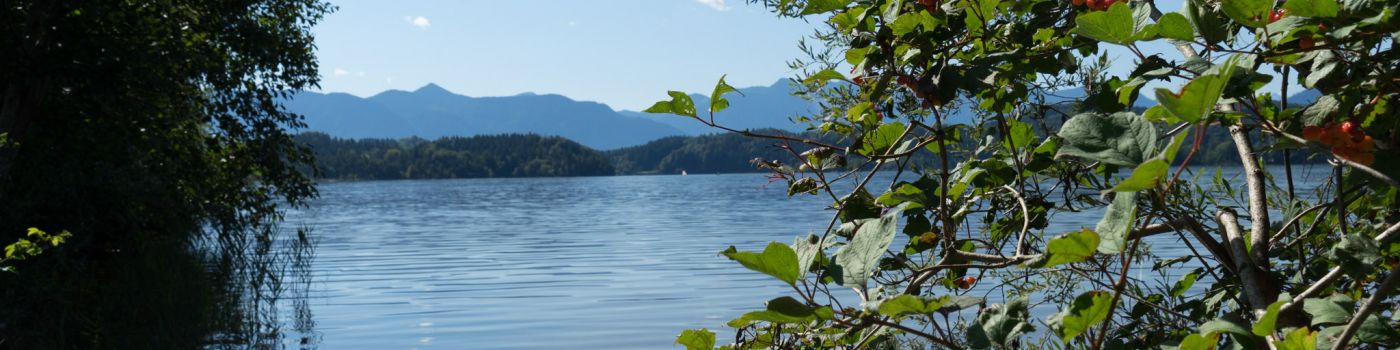 Staffelsee-Ansicht-003
